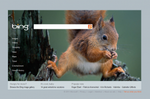 Bing.com Squirrel